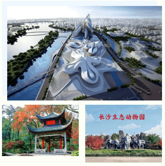 托雅春季游学，点亮不一样的春天